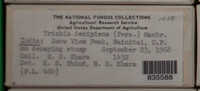 Image Associated With the Occurence
